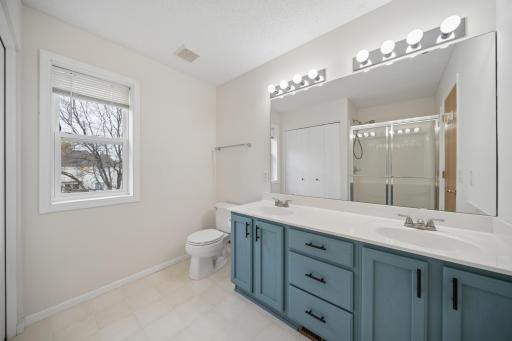 221 Butternut Circle, Carver, MN 55315