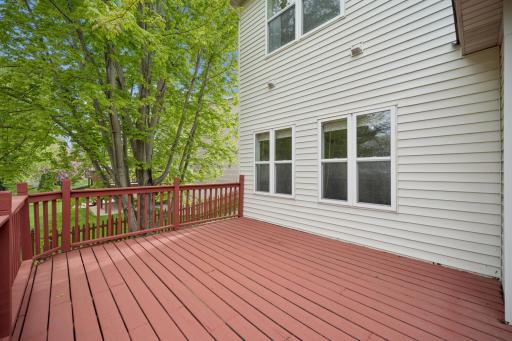 221 Butternut Circle, Carver, MN 55315