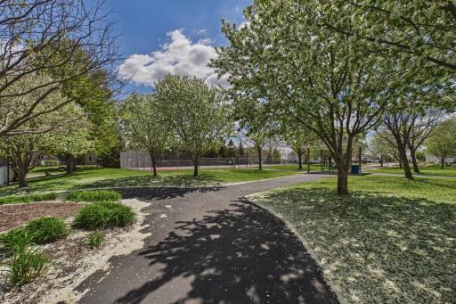Beautiful trees surround the park and tennis court.