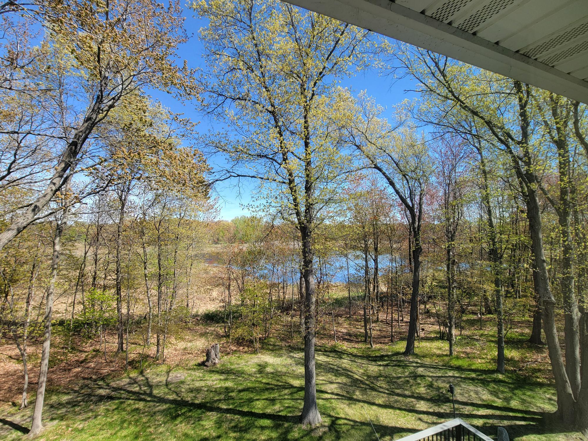 View from the deck