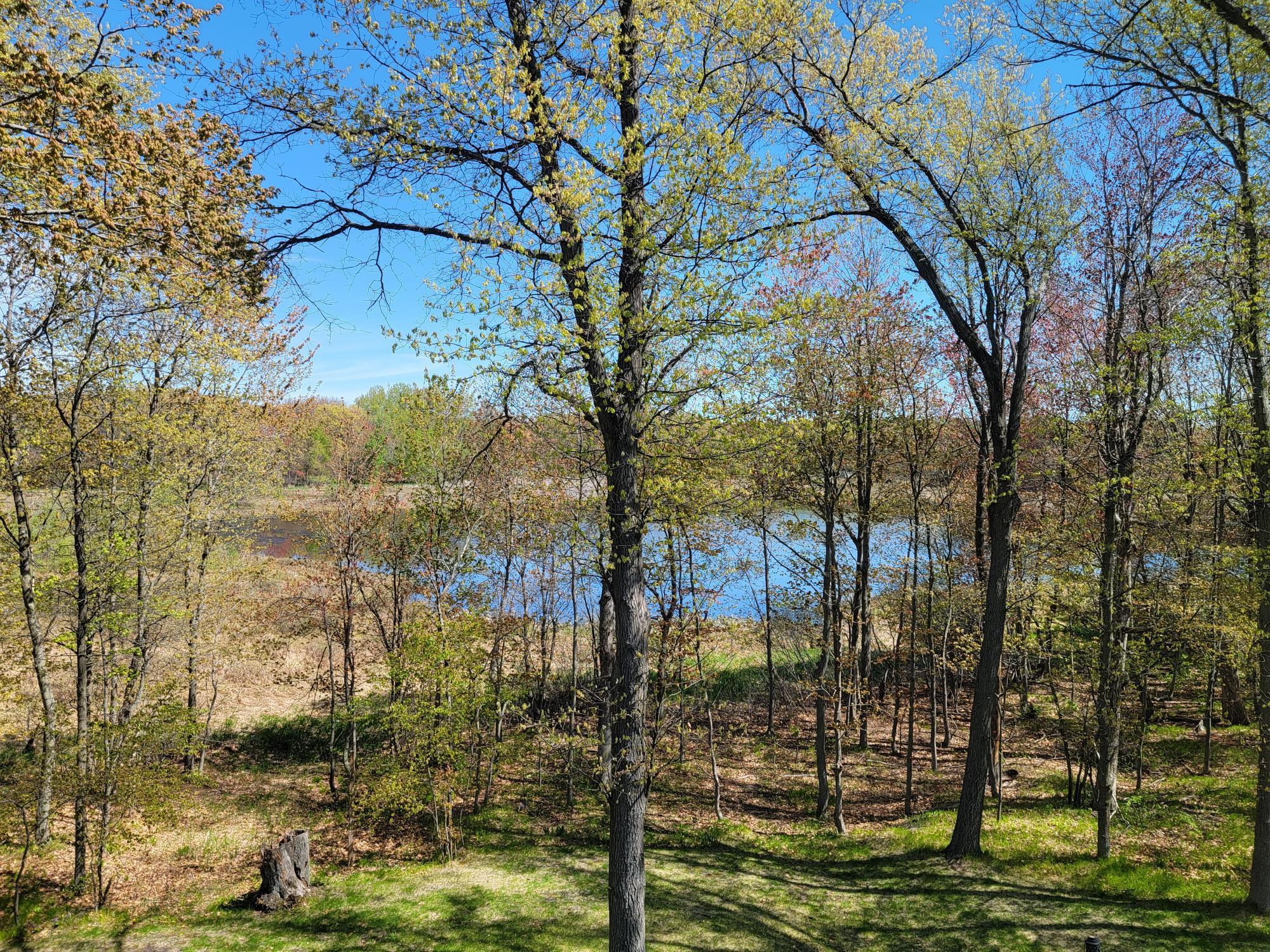 View from the deck