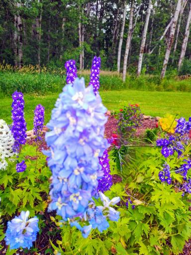 37590 Degerstrom Road, Askov, MN 55704