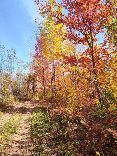 37590 Degerstrom Road, Askov, MN 55704
