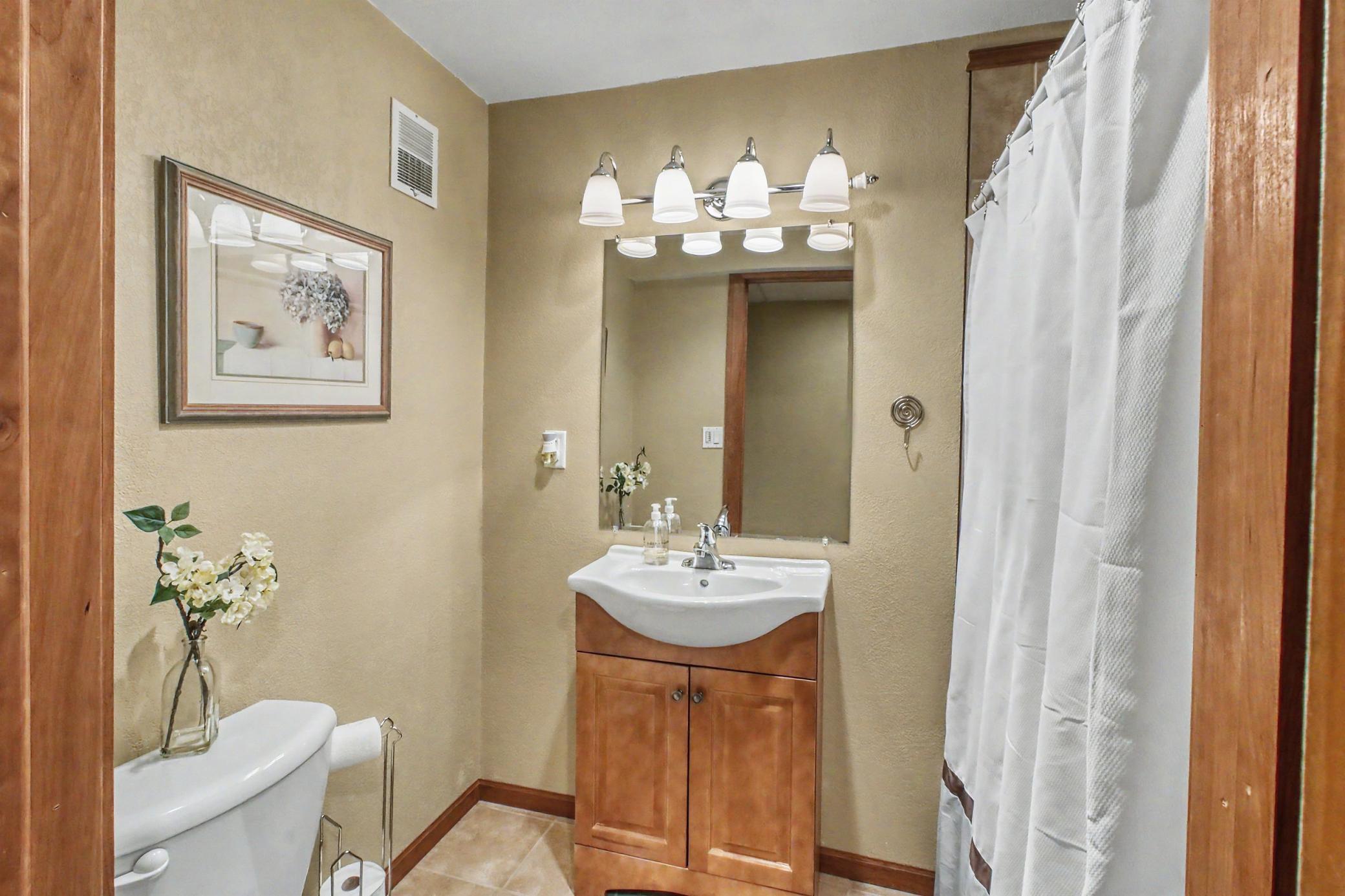17Basement Bathroom1_1-3264.jpeg