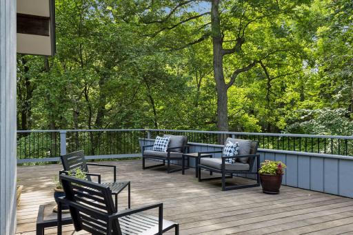 1 Chickadee Lane, North Oaks, MN 55127