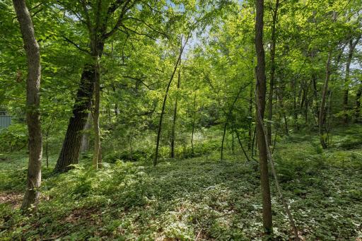 1 Chickadee Lane, North Oaks, MN 55127