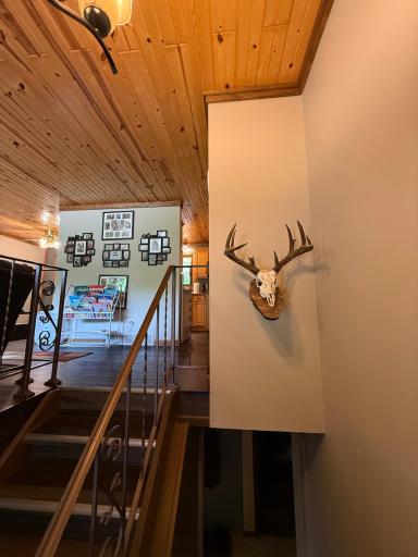2554 Mission Road NE, Bemidji, MN 56601