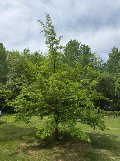 2554 Mission Road NE, Bemidji, MN 56601