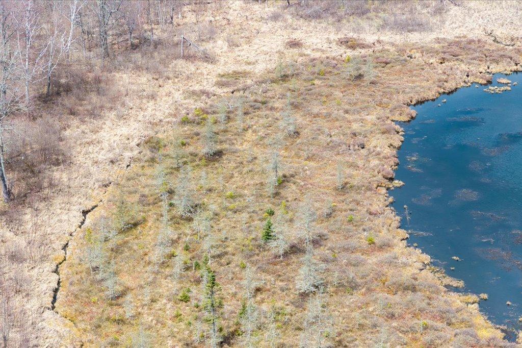 02-DJI_20260507121143_0252_D.jpg