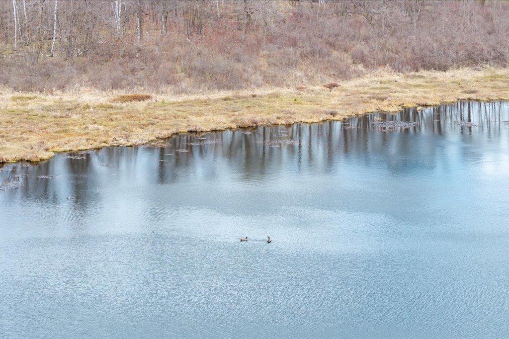 05-DJI_20260507121338_0256_D.jpg