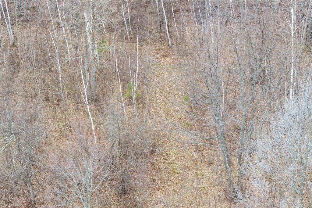 14-DJI_20260507121703_0265_D.jpg
