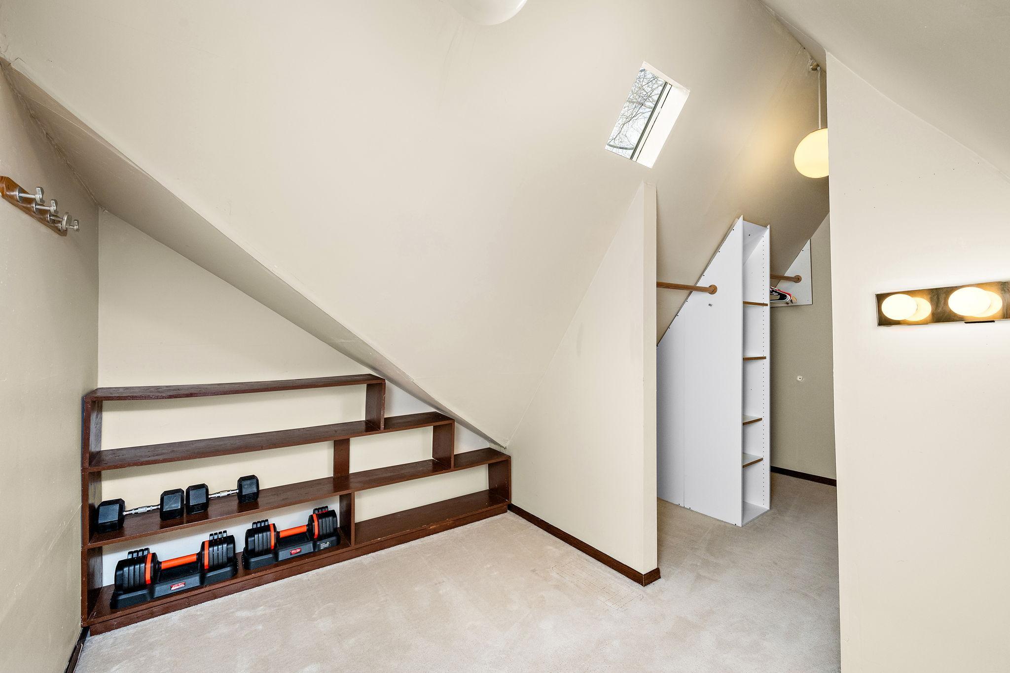 Large Walk-In Closet & Skylights