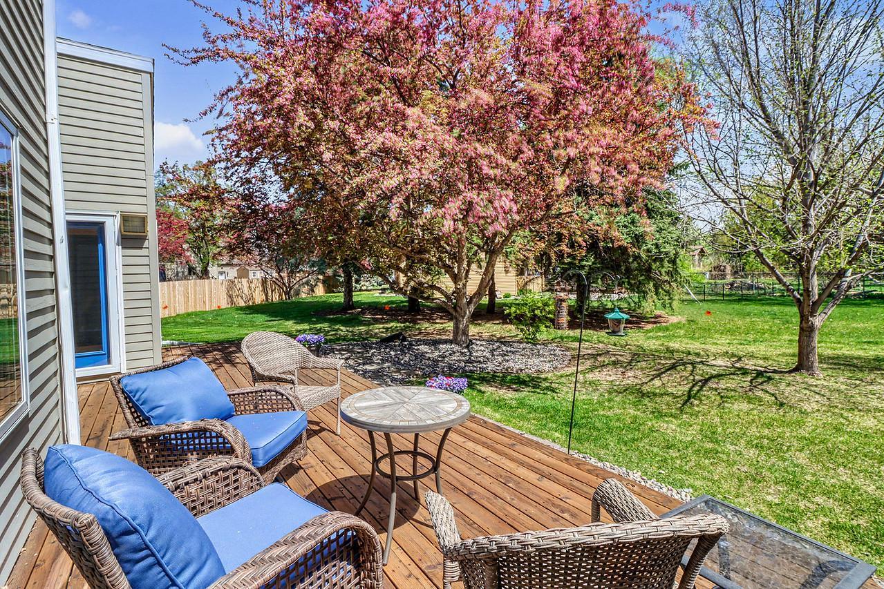 Backyard w/ mature trees