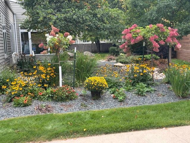 Beautiful Landscaped Yard