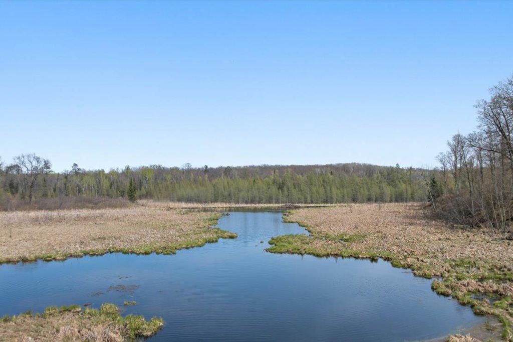 3 Acre Beaver Pond