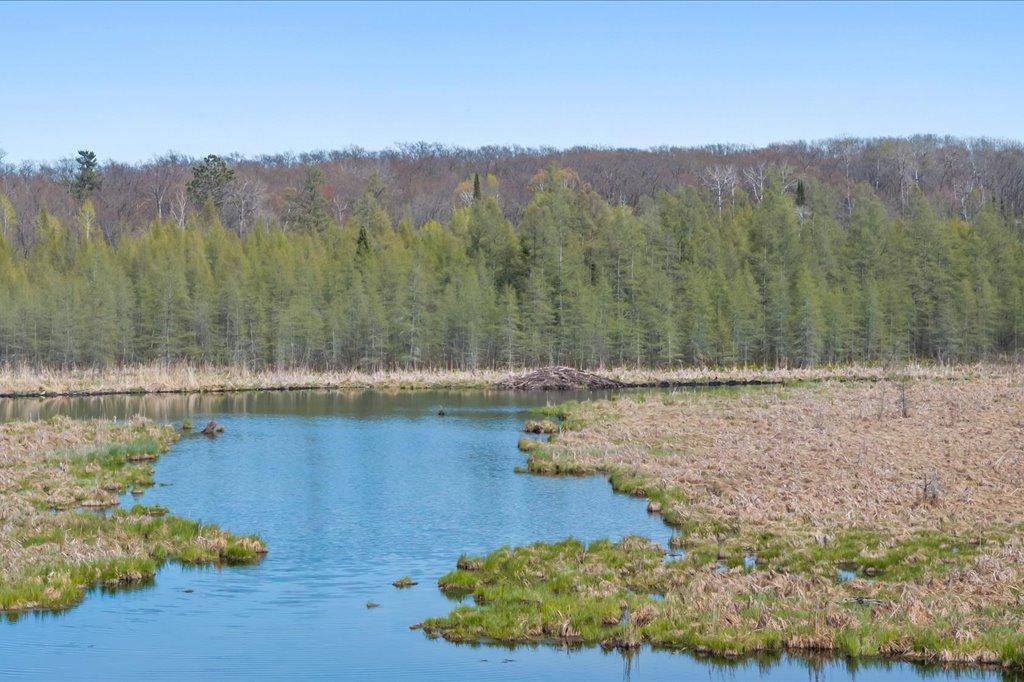 Black Bear Creek's Beaver Lodge
