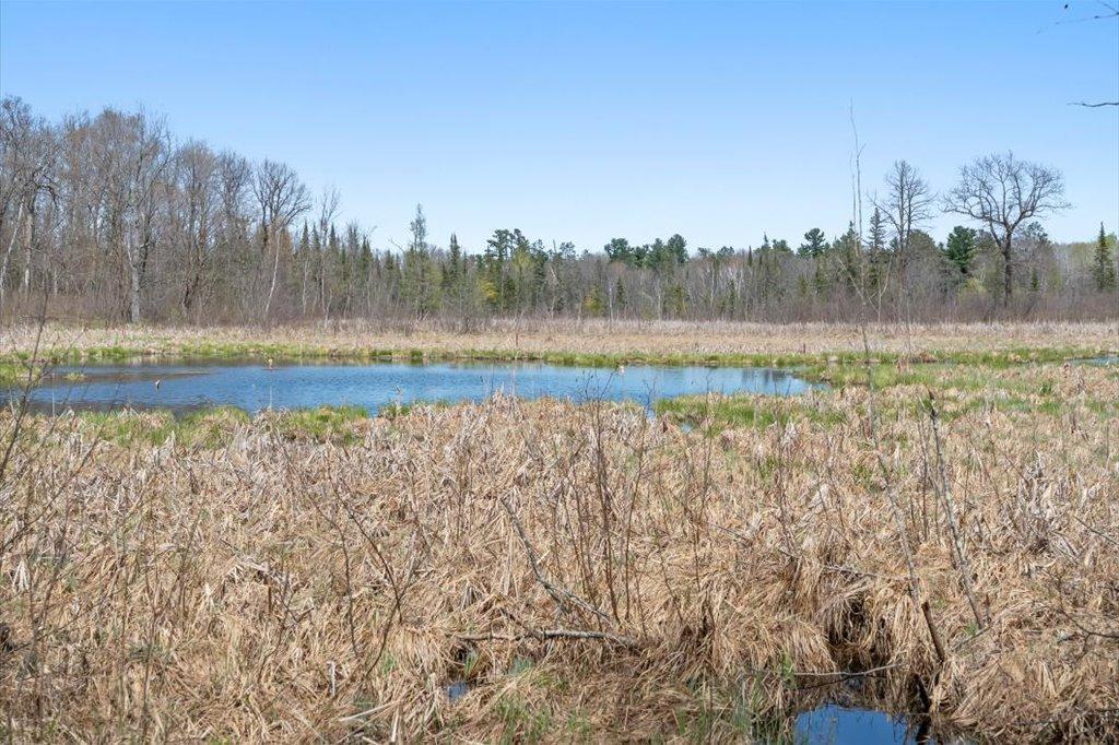 Wildlife Habitat