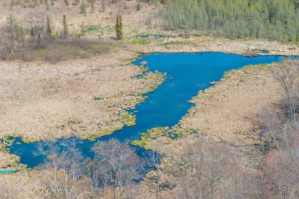 Pond