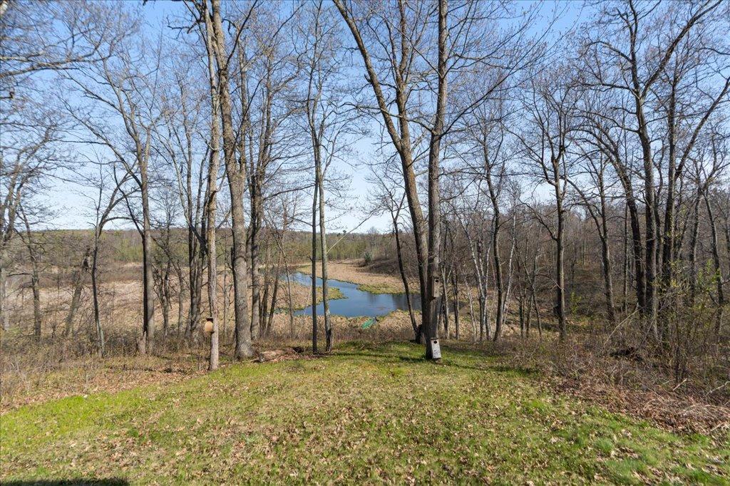 Black Bear Creek