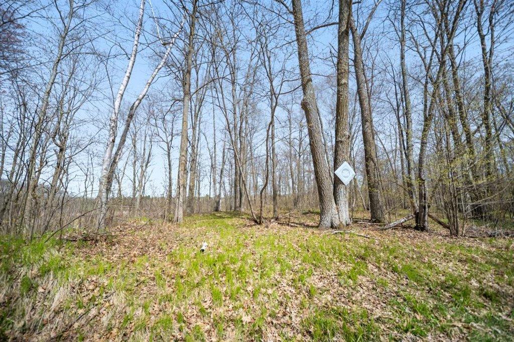 Wildlife Habitat