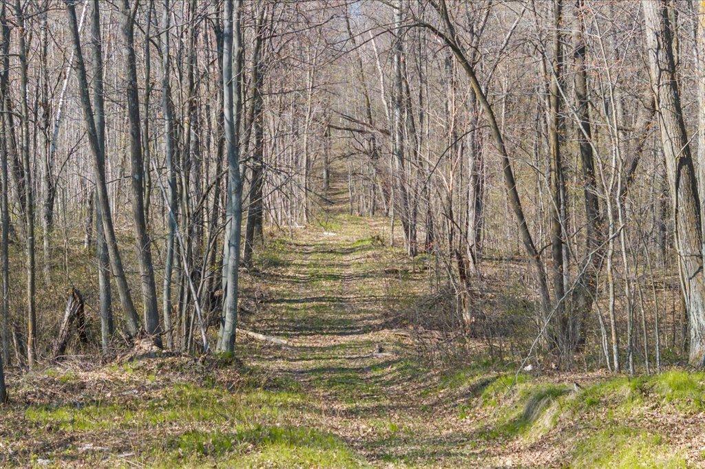 Trail System