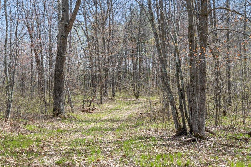 Trail System