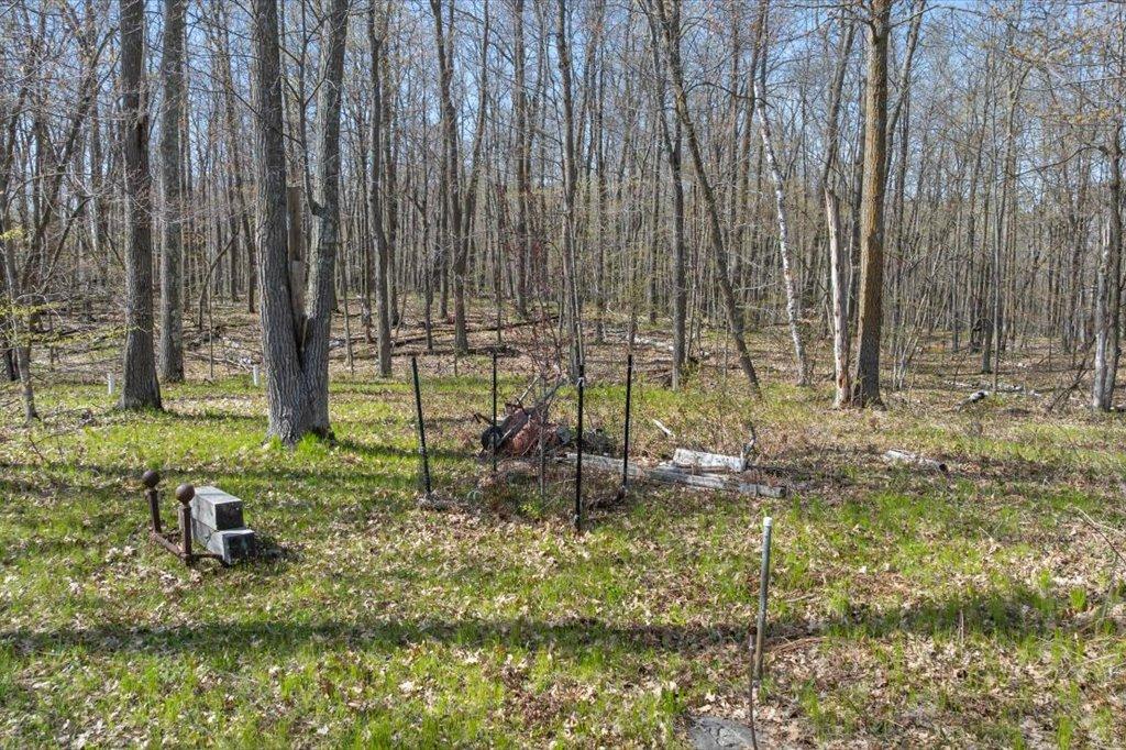 Wildlife Habitat