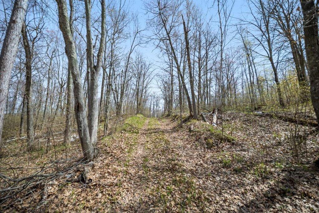 Trail System