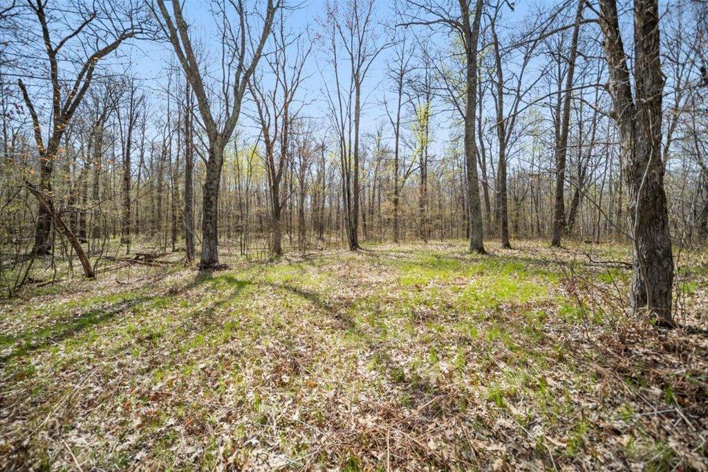 Wildlife Habitat