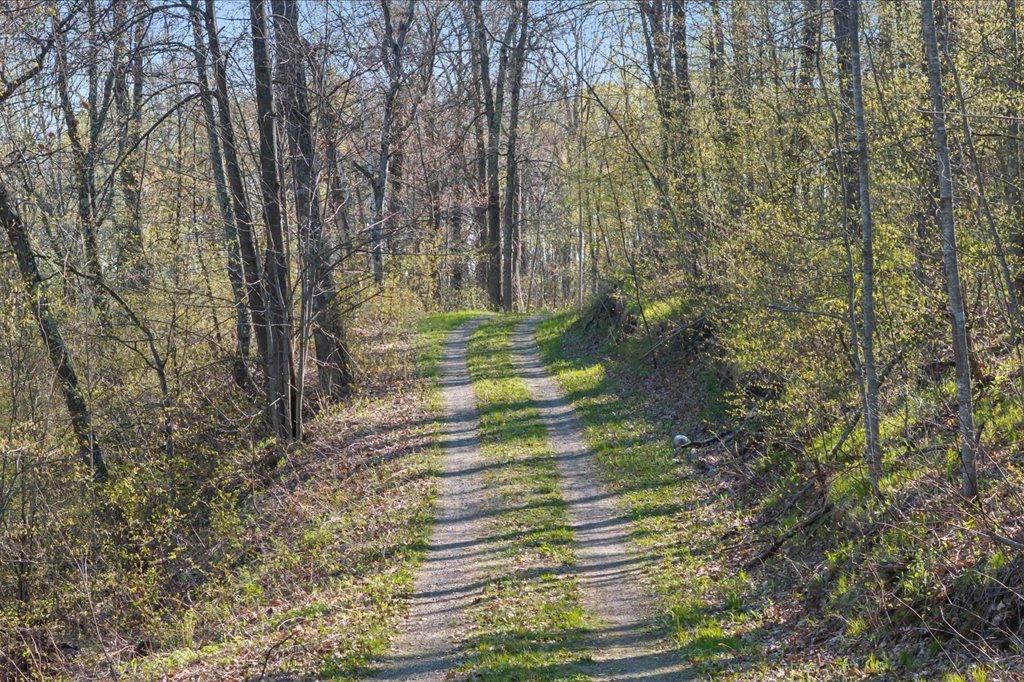 Scenic Driveway