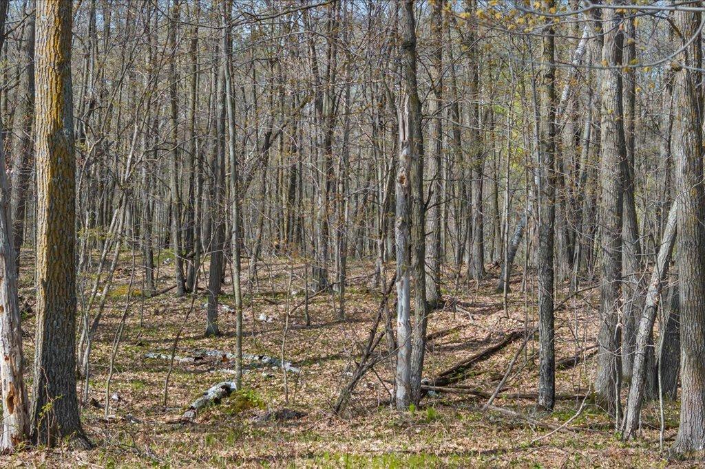 Wildlife Habitat