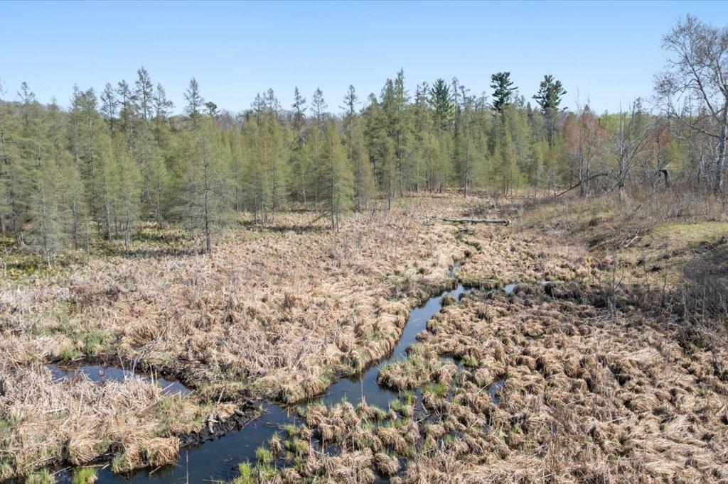 Wildlife Habitat
