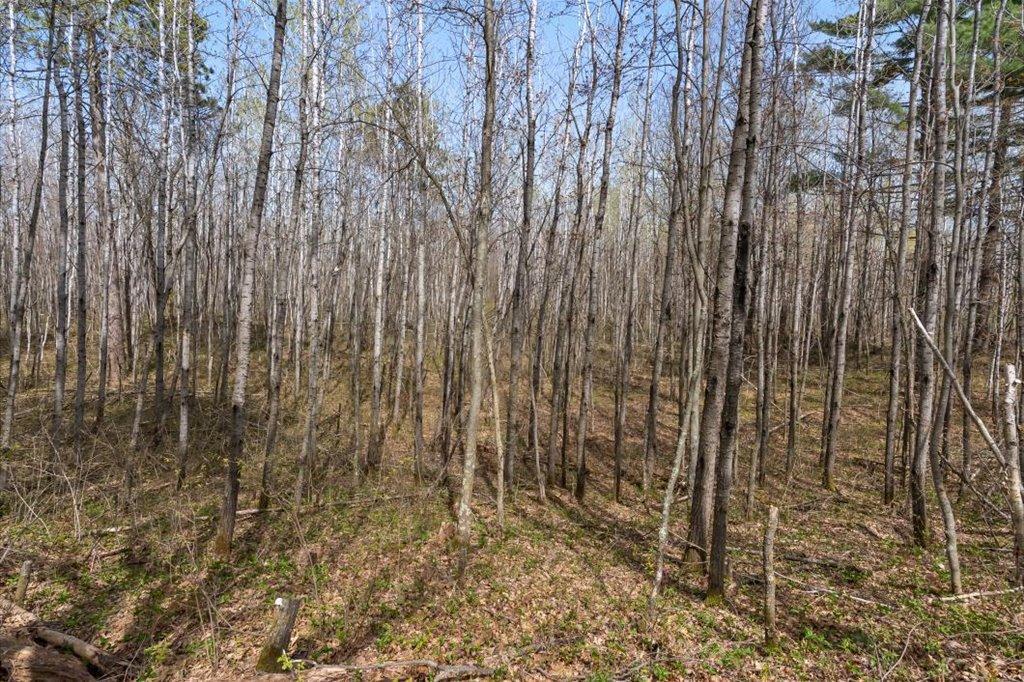 Wildlife Habitat