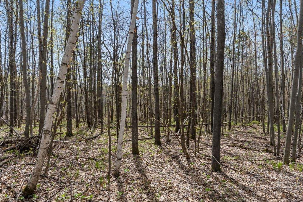 Wildlife Habitat