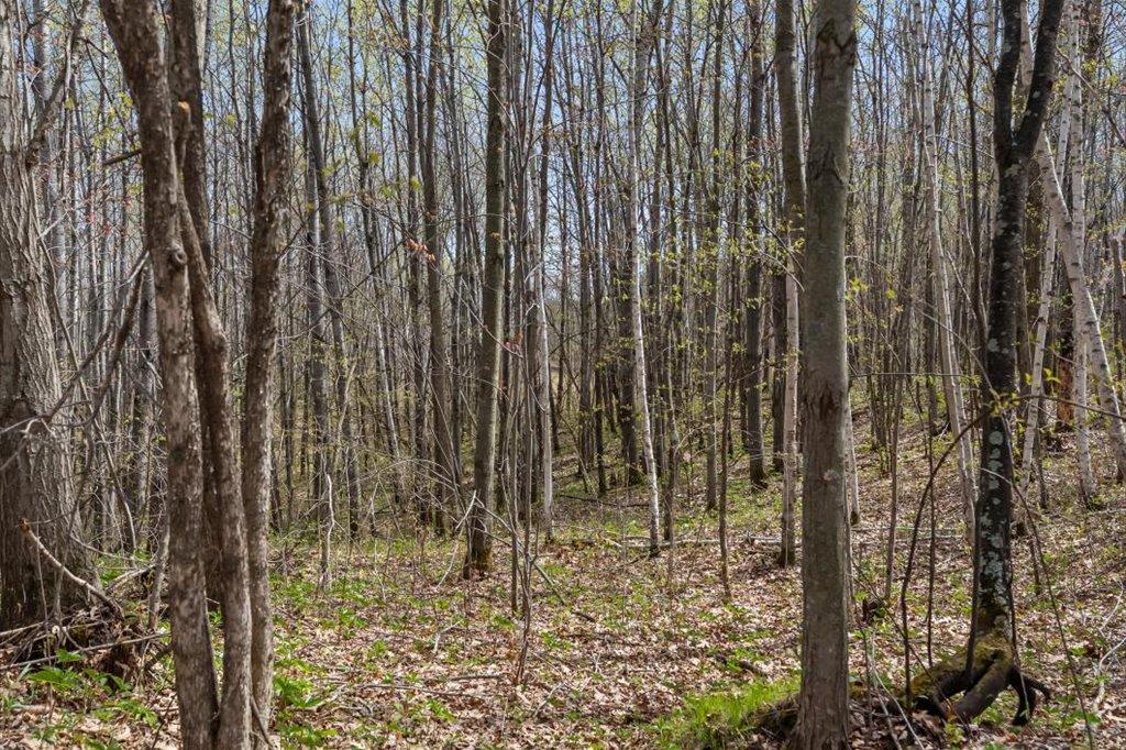 Wildlife Habitat