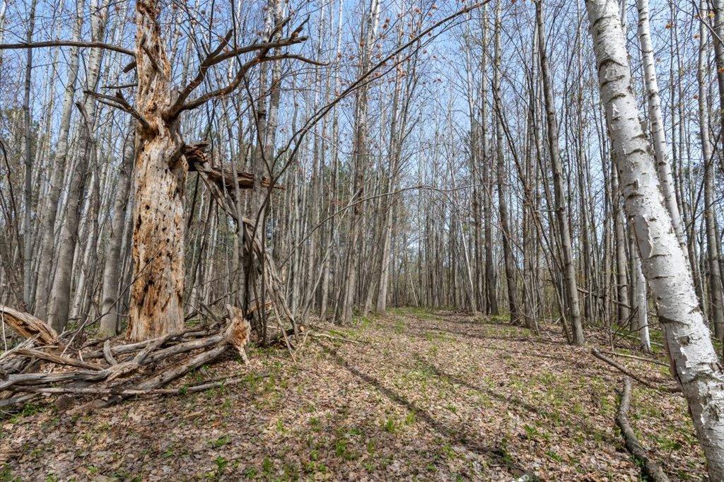 Trail System
