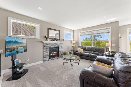 Wetlands views and custom window treatments