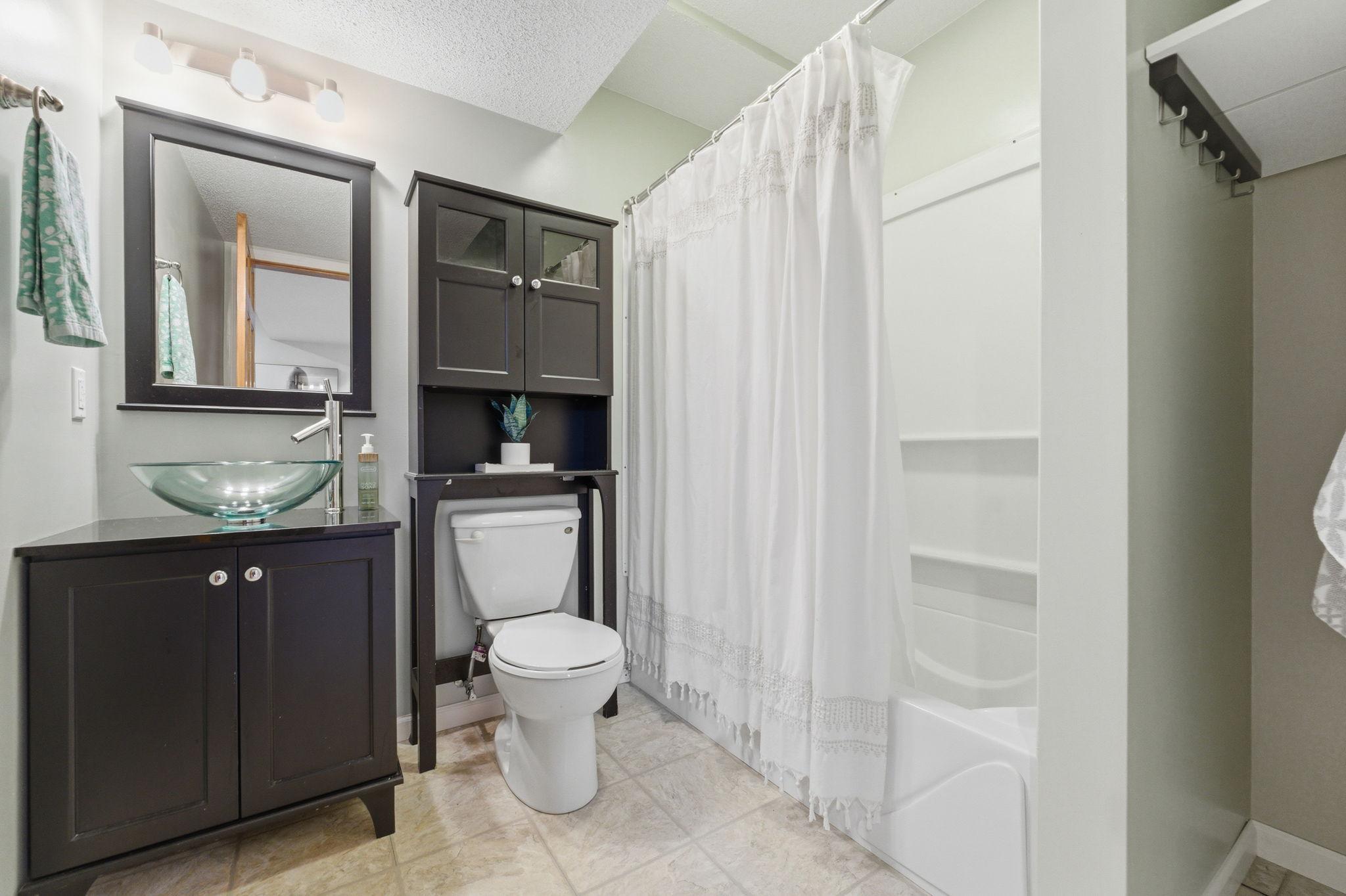 Lower Level Bathroom