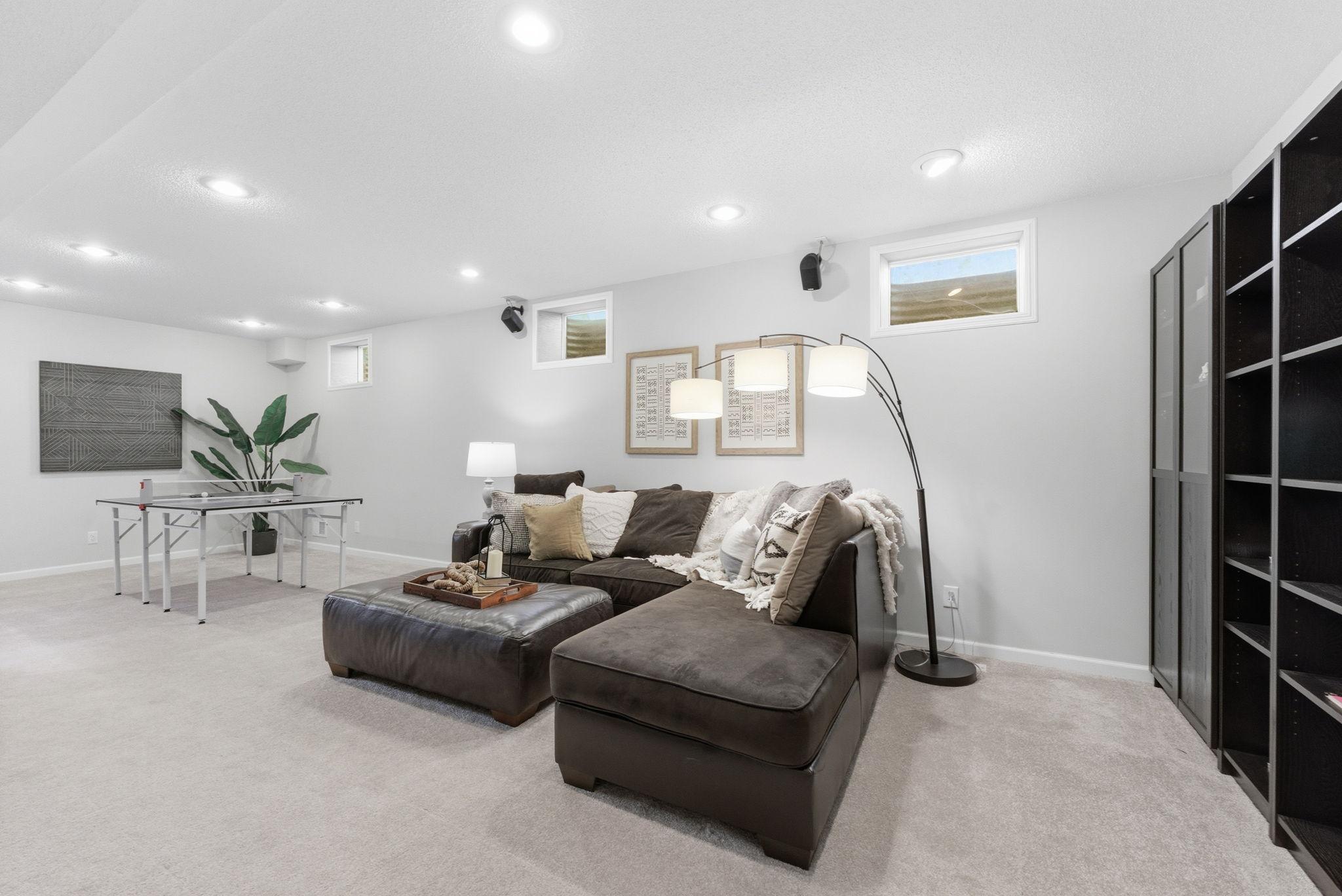 Lower Level Family Room
