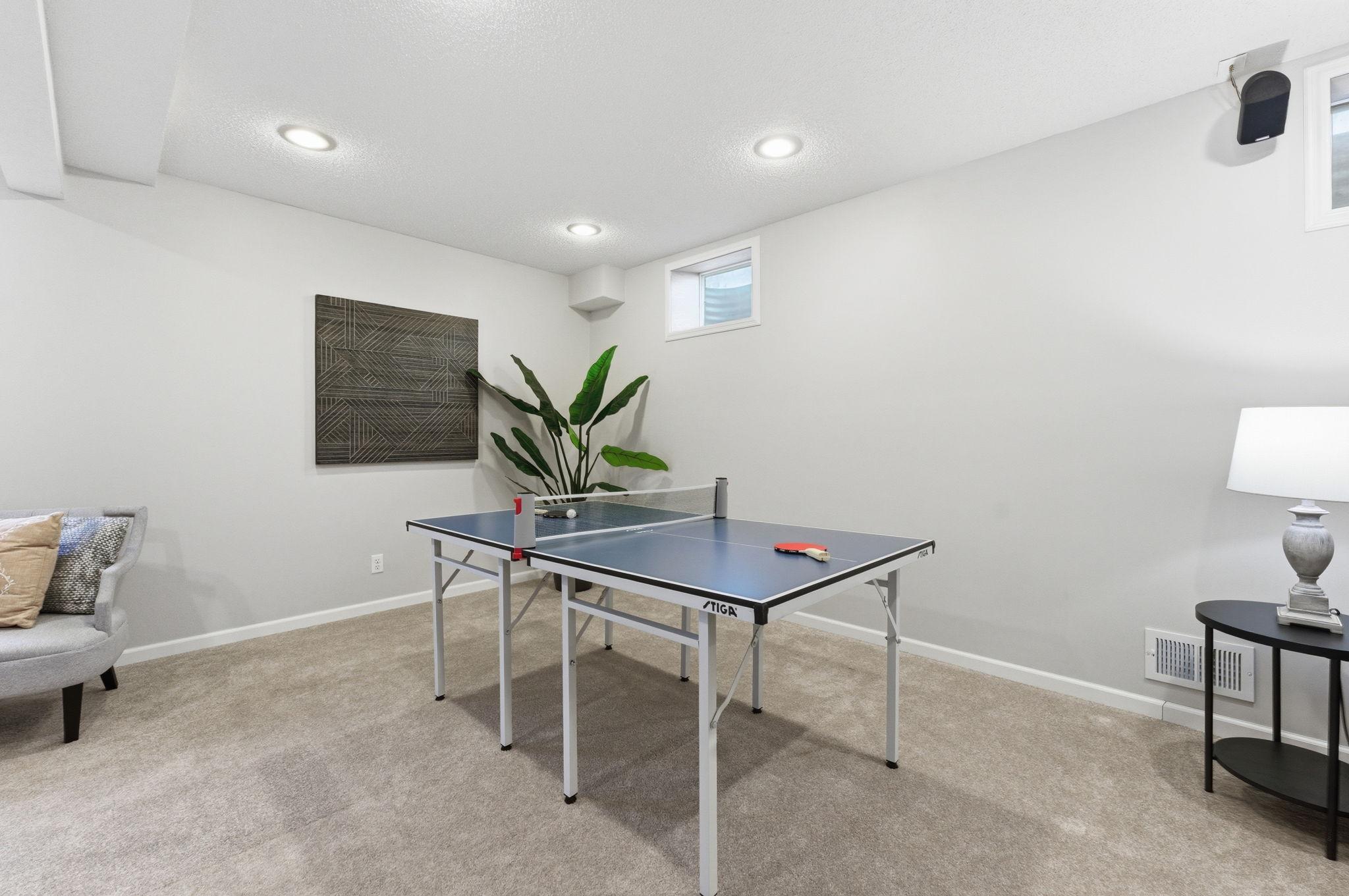 Lower Level Family Room