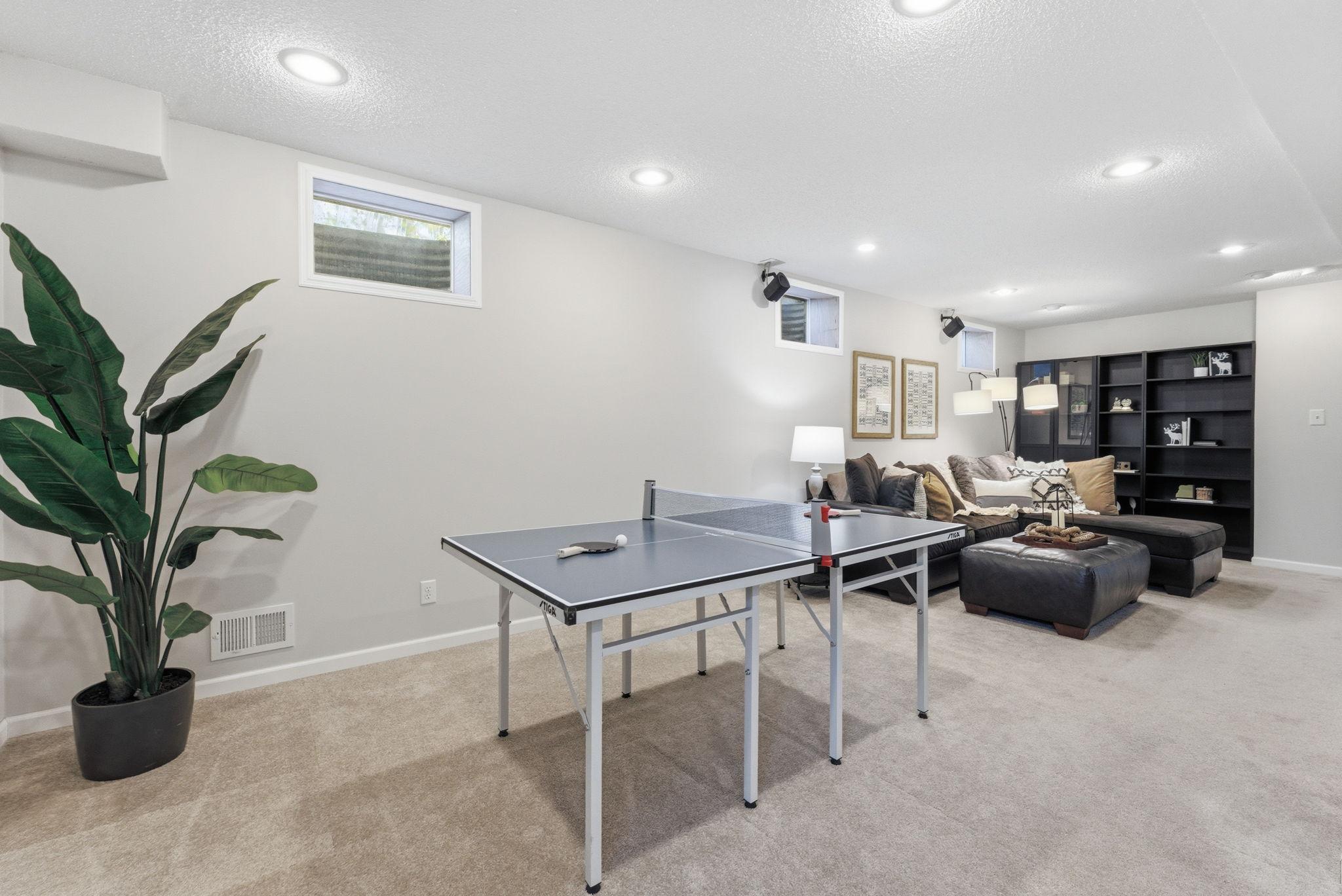 Lower Level Family Room
