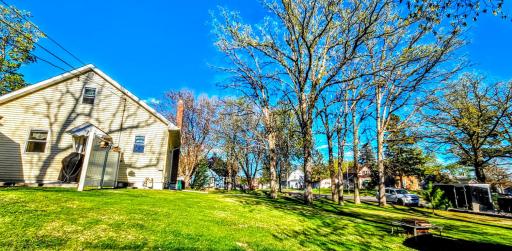 Expansive corner lot with towering mature oaks.jpg