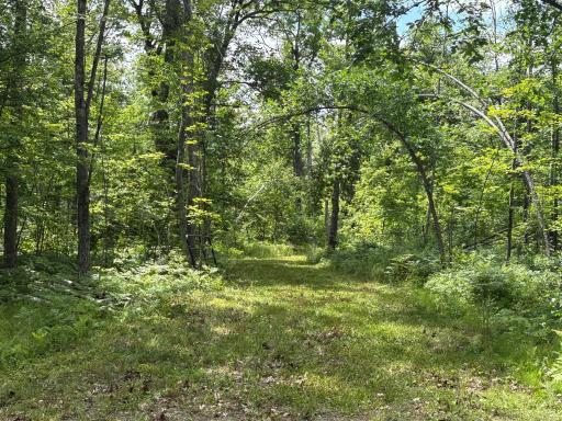 599XX Tamarack River Rd, Sandstone, MN 55072