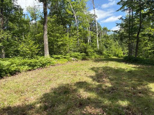 599XX Tamarack River Rd, Sandstone, MN 55072