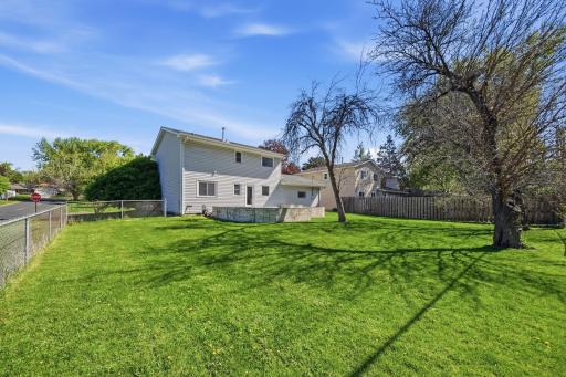 Large fenced backyard