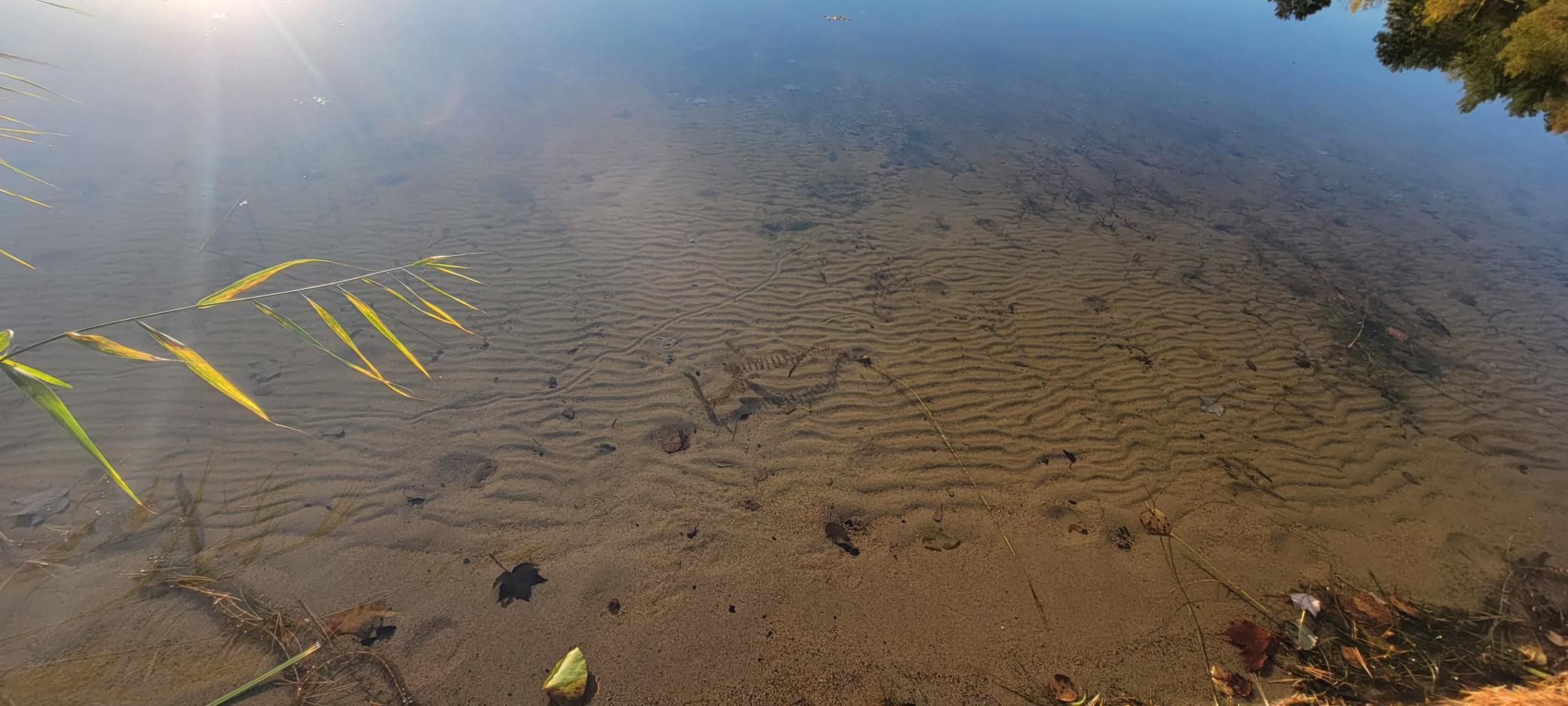 Sand shoreline