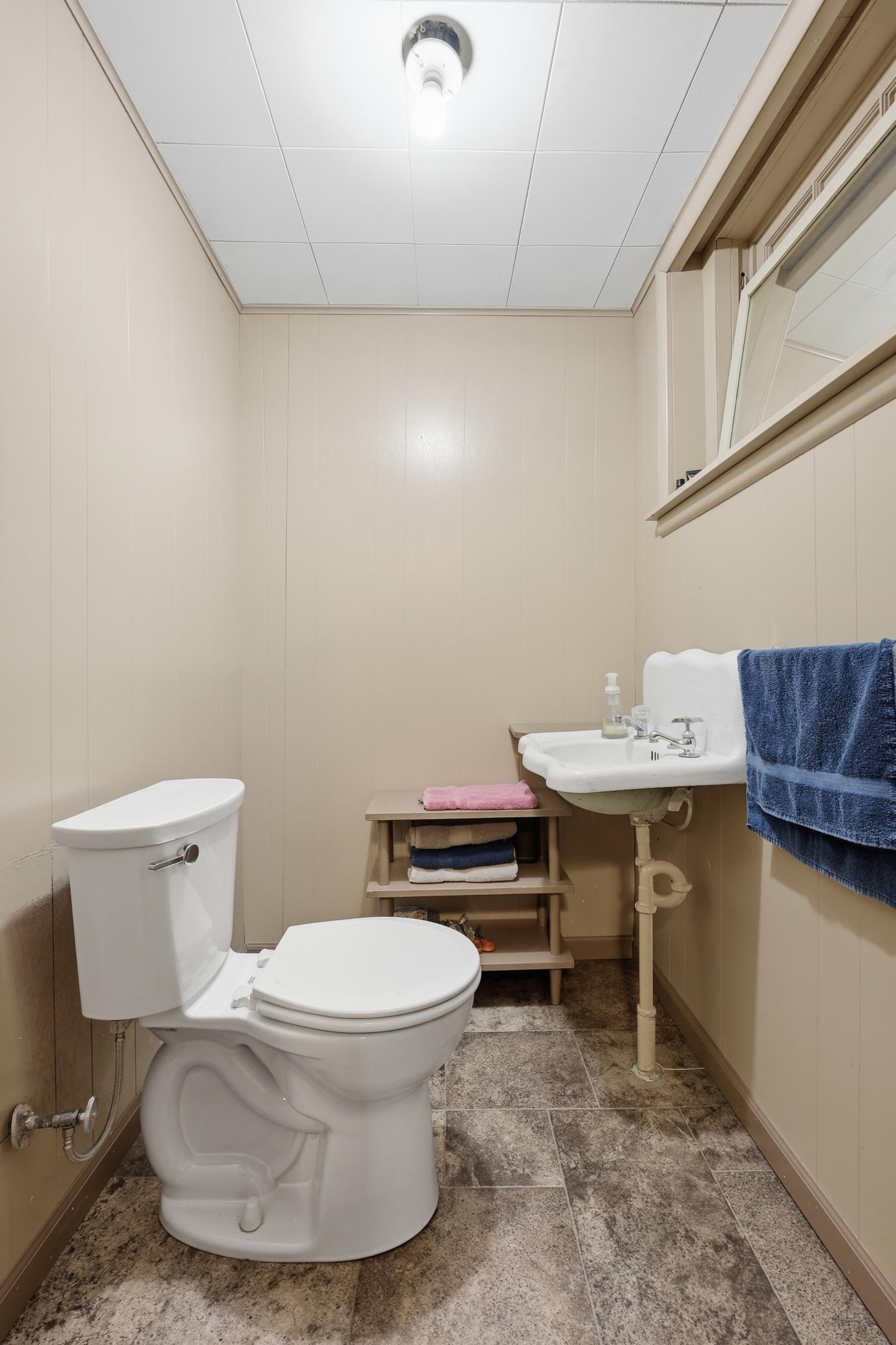 Lower Level Bathroom