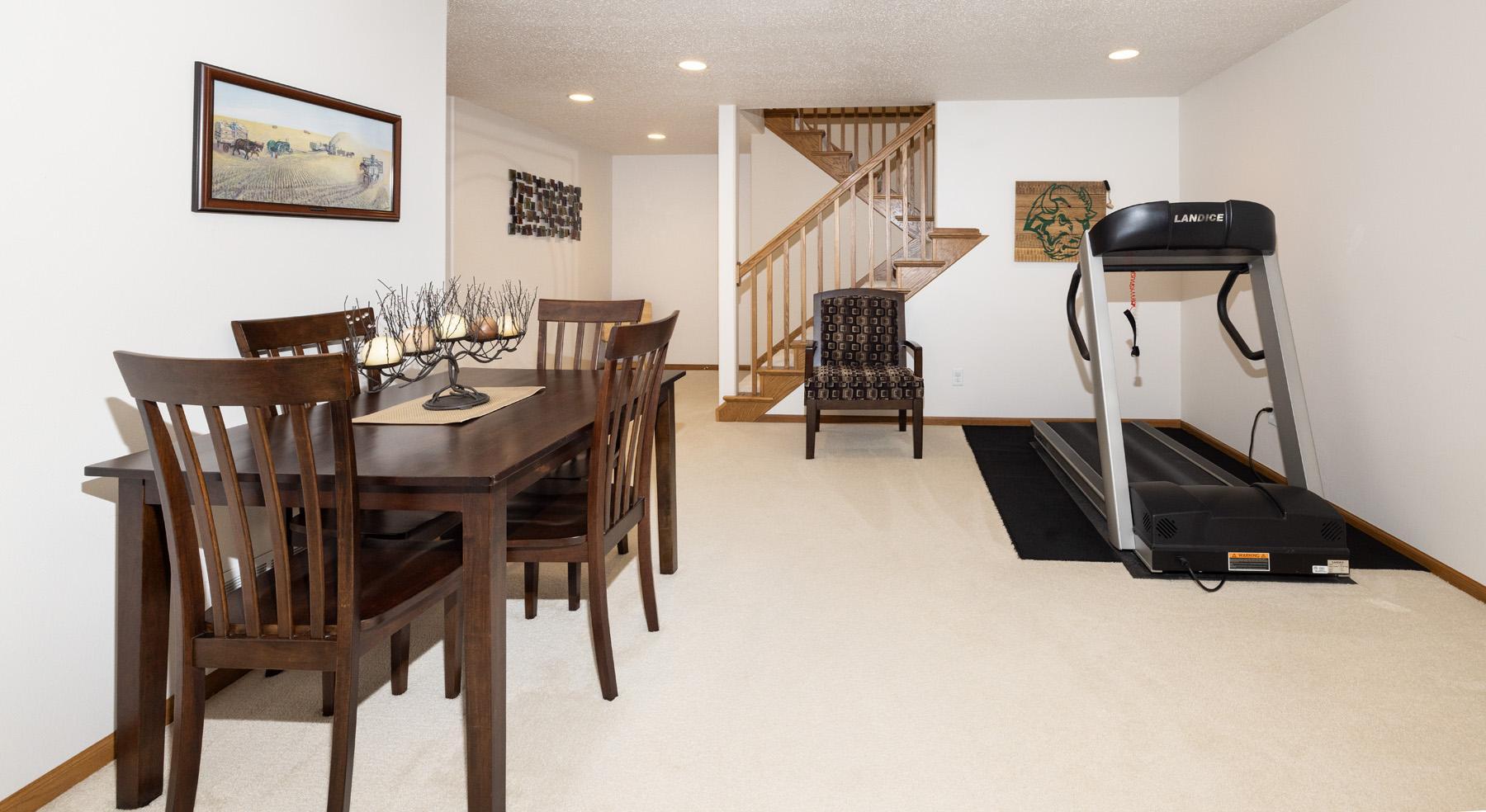 Basement Family Room