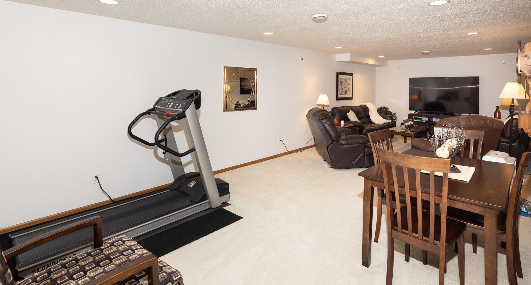 Basement Family Room