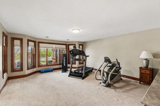 Basment 4th bedroom (currently used as excercise room)